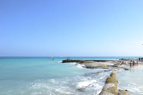 海,海洋,水,波浪,自然,道路,人,游泳 海,海洋,水,波浪,自然,道路,人,游泳