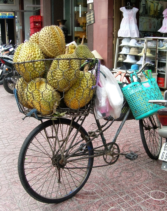水果，菠萝蜜，自行车，自行车篮，越南，运输，陆地车辆，运输方式