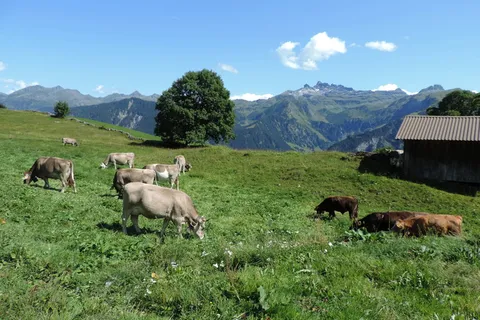 瑞士,阿尔卑斯山,风景,山脉,春天,天堂,自然,高度 瑞士,阿尔卑斯山,风景,山脉,春天,天堂,自然,高度
