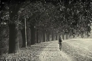 人、骑行、自行车、道路、被包围、树木、白天、女人