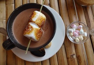 食品，甜点，糖，棉花糖，巧克力，老鼠培根，受益于，糖果