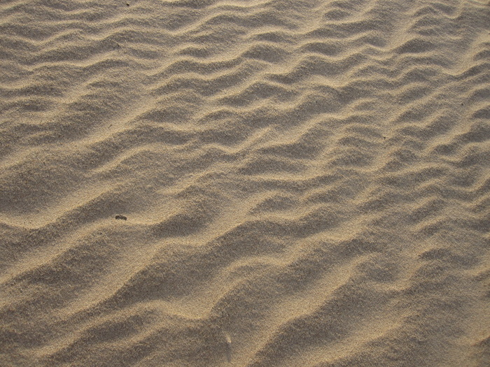 拉脱维亚，里加，纹理，抽象，波罗的海，米色，砂质，沙子