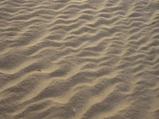 拉脱维亚，里加，纹理，抽象，波罗的海，米色，砂质，沙子