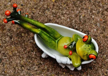 青蛙，搞笑，洗澡，可爱，关心，放松，放松，身材