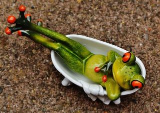 青蛙，搞笑，洗澡，可爱，关心，放松，放松，身材