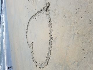 在美国，中美合作所，渡轮海滩，海滩，陆地，一天，没有人，沙滩