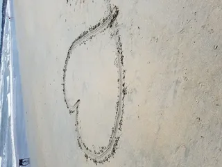 在美国，中美合作所，渡轮海滩，海滩，陆地，一天，没有人，沙滩