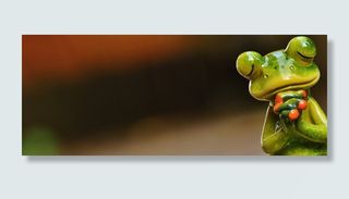 选择性，聚焦照片，绿色，树蛙，青蛙，祈祷，和谐，图形