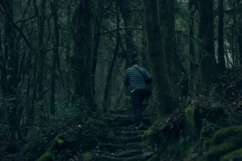 尼泊尔，马汉卡尔乔尔，步行，男人，苔藓，森林，丛林，绿色