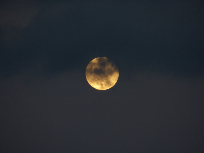月亮，超级月亮，夜晚，月光，神秘，阴郁，恐怖，恐怖