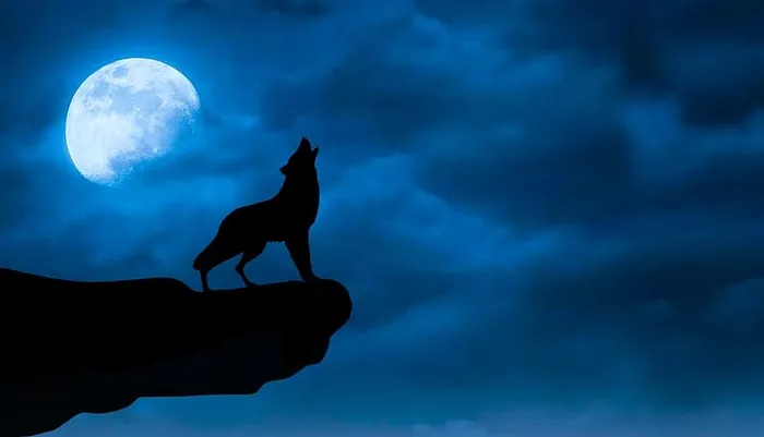 夜空下，狼在岩石峭壁上嚎叫。