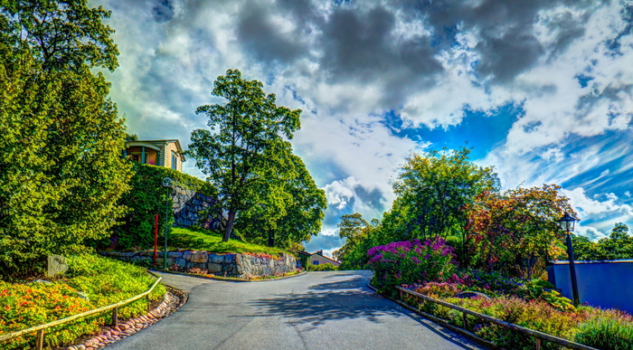 skansen，road，瑞典，斯堪的纳维亚，斯德哥尔摩，hdr，plant，cloud-sky