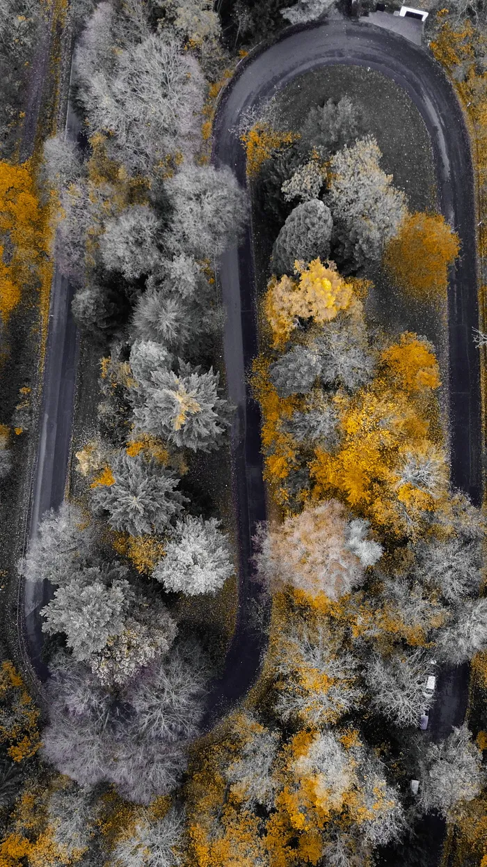 沥青道路和树木的区域视图摄影