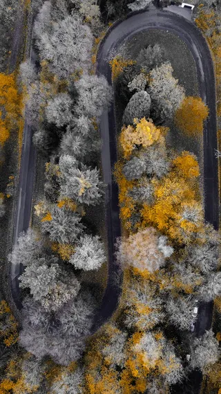 沥青道路和树木的区域视图摄影