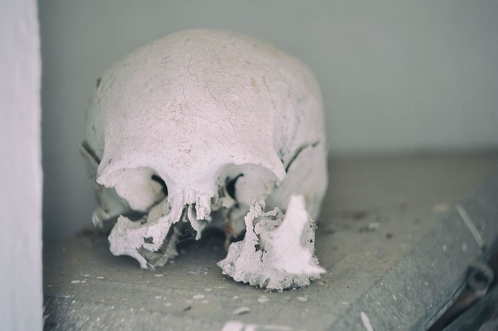 破碎的头骨，自然，户外，雪，冰，水泥厂，死亡，头骨