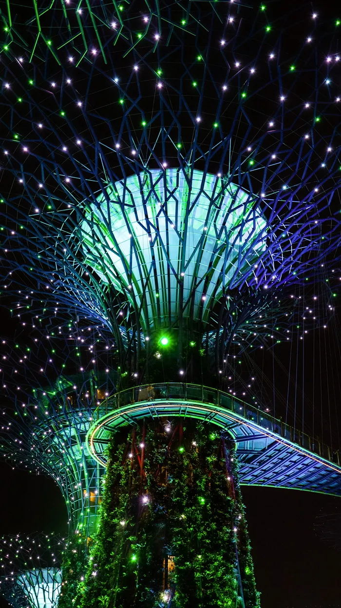 灯光、新加坡、激光、海湾花园、夜晚、自然、植物、未来
