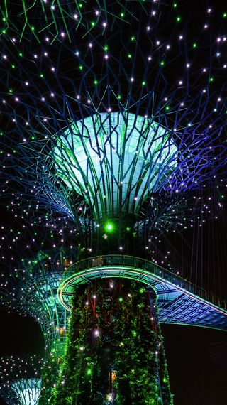 灯光、新加坡、激光、海湾花园、夜晚、自然、植物、未来