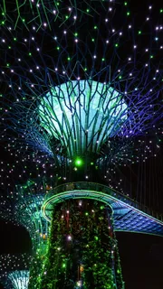 灯光、新加坡、激光、海湾花园、夜晚、自然、植物、未来 灯光、新加坡、激光、海湾花园、夜晚、自然、植物、未来