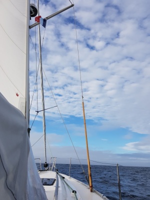 游艇、海、船、船、天、水、风景、假日