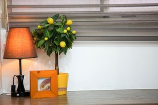 表, 装饰, 简单, 创意, 设计, 自画像, 表情, 室内