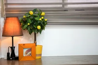 表, 装饰, 简单, 创意, 设计, 自画像, 表情, 室内