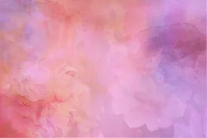 紫色、粉色、花卉、壁纸、背景、纹理、结构、樱花透明