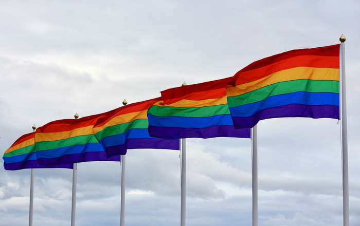 骄傲，骄傲日，彩虹，颜色，旗帜，lgbt，女同性恋，男同性恋