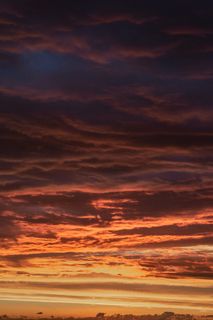 自然，户外，天空，日落，红天，黄昏，黎明，云