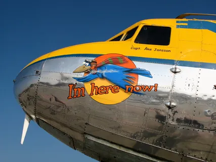 蓝天下的灰红色飞机