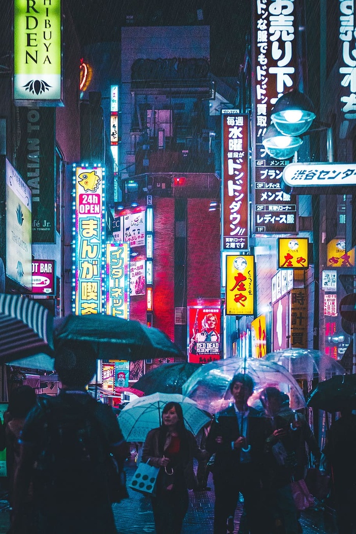 人们在雨伞下行走