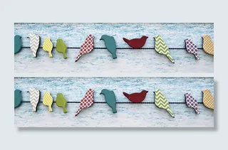 各种颜色，以鸟类为主题，墙壁，装饰，地段，木饰品，户外，鸟类