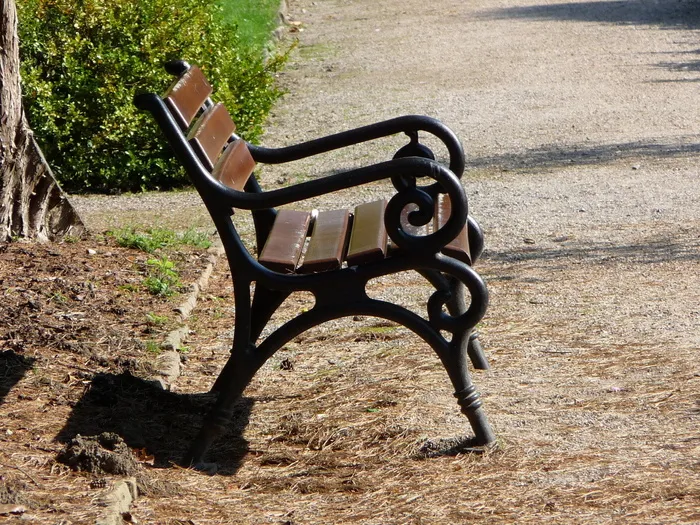 银行，秋天，休息，太阳，阳光，阴影，自然，白天