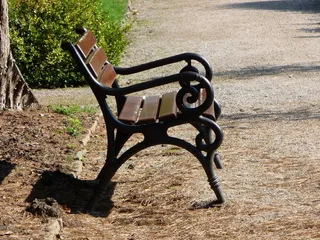 银行，秋天，休息，太阳，阳光，阴影，自然，白天