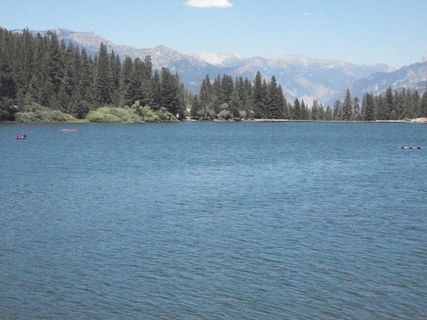 水体、蓝色、海洋、山脉、山谷、森林、树木、植物