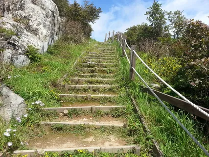 楼梯,ms当牧场,森林路,植物,前进的道路,方向,楼梯,自然 楼梯,ms当牧场,森林路,植物,前进的道路,方向,楼梯,自然