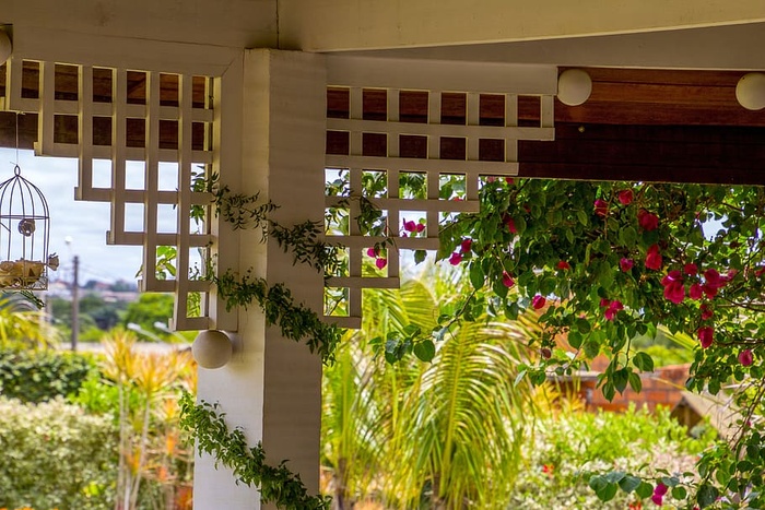 建筑、花园、花卉、美容、场所、景观、景观、植物