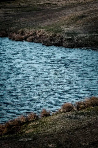 水，自然，户外，陆地，湖泊，钓鱼，休闲活动，垂钓者