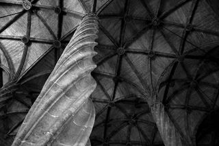 灰度照片、房屋、柱子、天花板、教堂、回廊、大教堂、小教堂