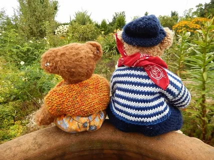 二，棕色，熊，毛绒，玩具，梦想，花园，朋友