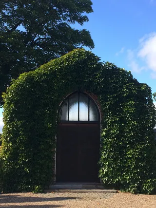 墓地、门、端、输入、旧、常春藤、大门、立面