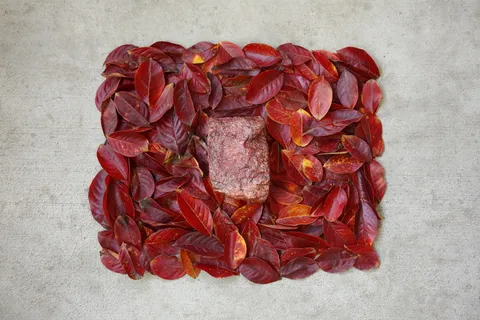 岩石, 自然, 单色, 奇怪, 红色, 食物, 种子, 干