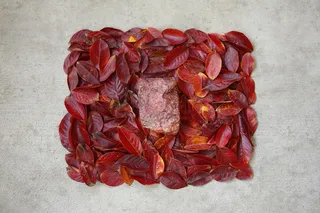 岩石, 自然, 单色, 奇怪, 红色, 食物, 种子, 干