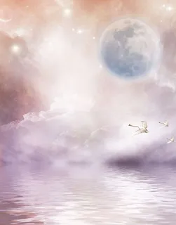 背景、文具、留言簿、天空、月亮、天鹅、星星、水 背景、文具、留言簿、天空、月亮、天鹅、星星、水