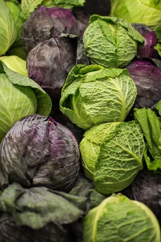 食品、蔬菜、卷心菜、蔬菜、树叶、食品和饮料、新鲜度、健康饮食