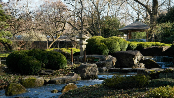 亚洲、自然、日本、日本花园、植物、传统、和谐、嵌入式