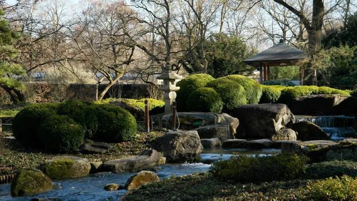 亚洲、自然、日本、日本花园、植物、传统、和谐、嵌入式