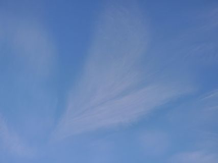 天空,卷云,云,云-天空,蓝色,背景,低角度视图,自然美 天空,卷云,云,云-天空,蓝色,背景,低角度视图,自然美