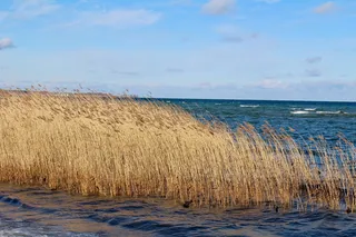 水，自然，天空，在，风景，朔维特，北海，水