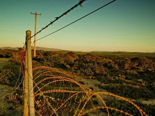 美国，蒙特利县，奥德堡国家纪念碑，山脉，丘陵，*海岸，日落，铁丝网