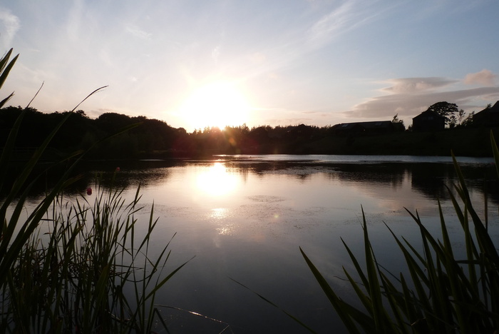 倒影、湖泊、礼来、水、自然、夏天、户外、风景